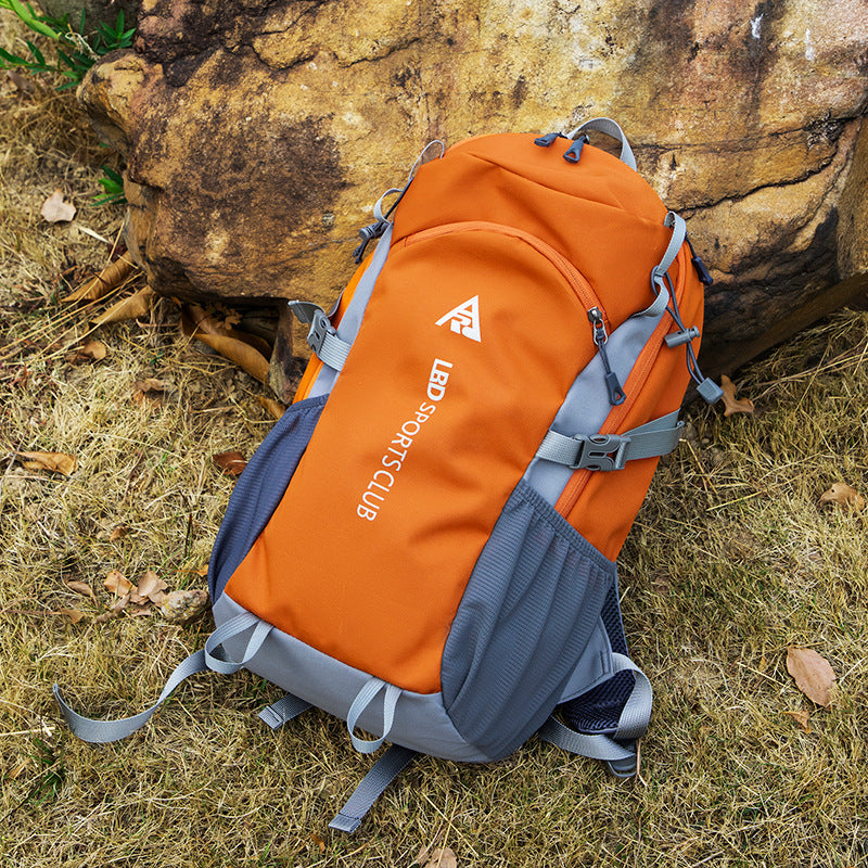 Discover the Perfect Companion for Your Outdoor Adventures